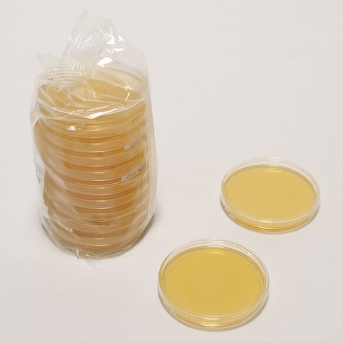 Ágar TS c/ LTHC - LI 30ml