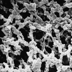 Membranas Filtrantes MF-Millipore - 100 discs
