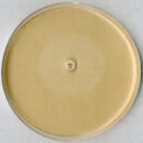 Agar teste de pH 8,0 para teste de inibição